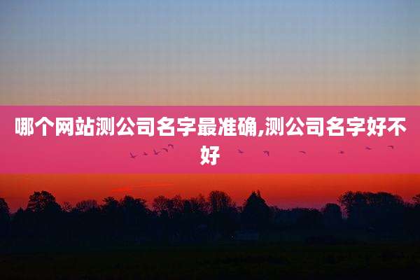哪个网站测公司名字最准确,测公司名字好不好