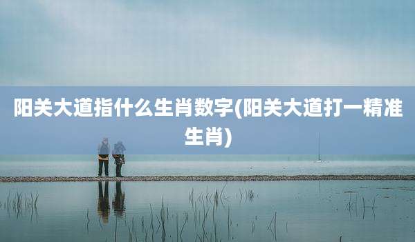 阳关大道指什么生肖数字(阳关大道打一精准生肖)