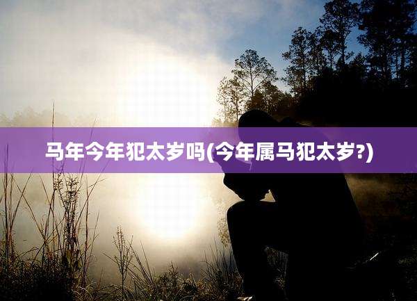 马年今年犯太岁吗(今年属马犯太岁?)