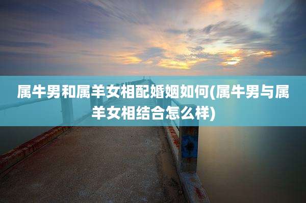 属牛男和属羊女相配婚姻如何(属牛男与属羊女相结合怎么样)
