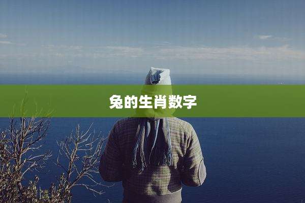 兔的生肖数字