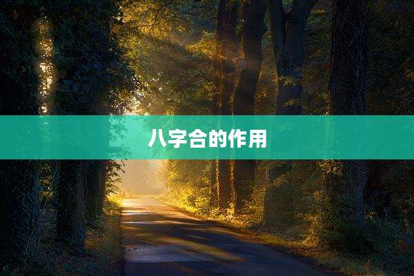 八字合的作用