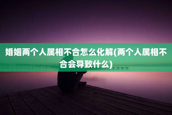 婚姻两个人属相不合怎么化解(两个人属相不合会导致什么)