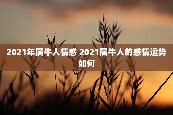 2021年属牛人情感 2021属牛人的感情运势如何