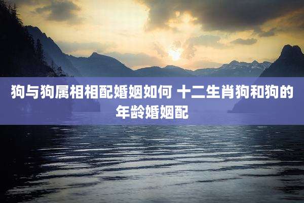 狗与狗属相相配婚姻如何 十二生肖狗和狗的年龄婚姻配