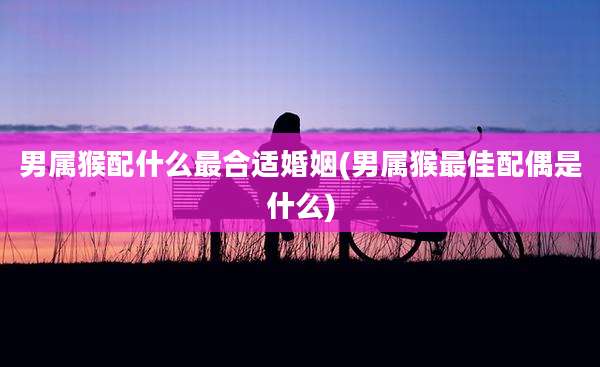 男属猴配什么最合适婚姻(男属猴最佳配偶是什么)