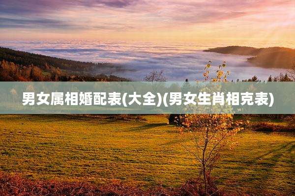 男女属相婚配表(大全)(男女生肖相克表)