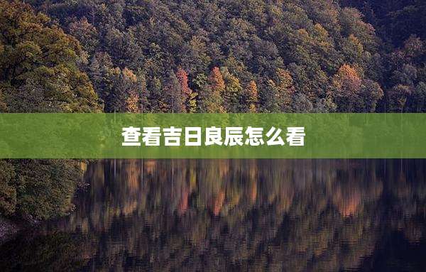 查看吉日良辰怎么看