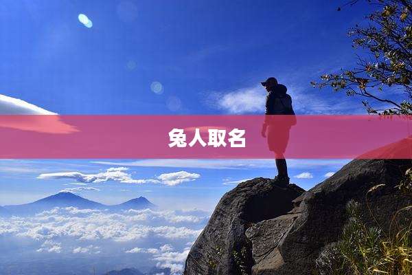 兔人取名