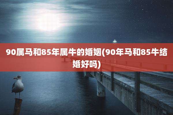 90属马和85年属牛的婚姻(90年马和85牛结婚好吗)