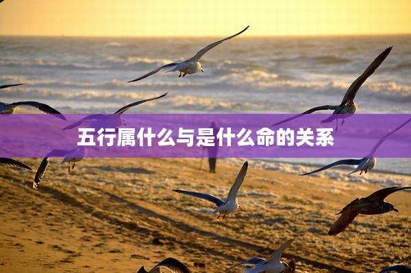 五行属什么与是什么命的关系