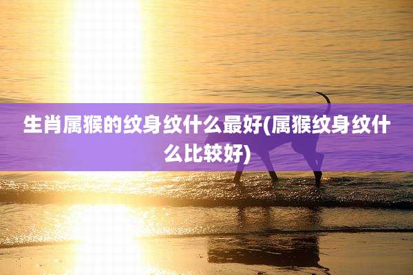 生肖属猴的纹身纹什么最好(属猴纹身纹什么比较好)
