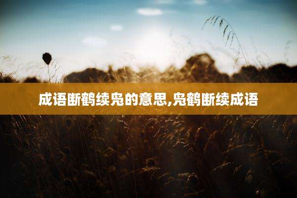 成语断鹤续凫的意思,凫鹤断续成语