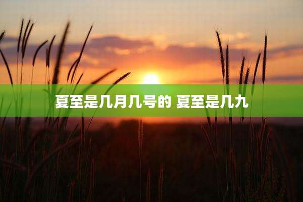 夏至是几月几号的 夏至是几九