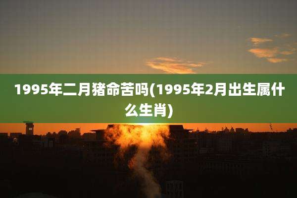 1995年二月猪命苦吗(1995年2月出生属什么生肖)