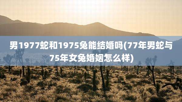 男1977蛇和1975兔能结婚吗(77年男蛇与75年女兔婚姻怎么样)