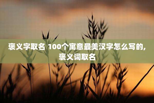 褒义字取名 100个寓意最美汉字怎么写的,褒义词取名