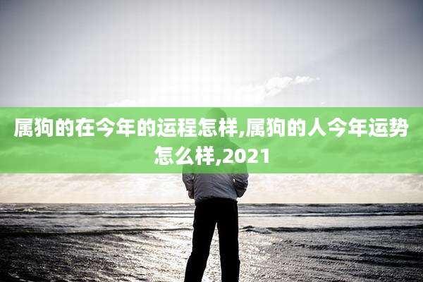 属狗的在今年的运程怎样,属狗的人今年运势怎么样,2021