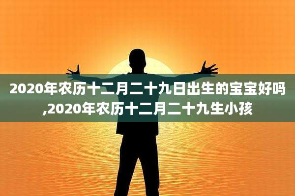 2020年农历十二月二十九日出生的宝宝好吗,2020年农历十二月二十九生小孩