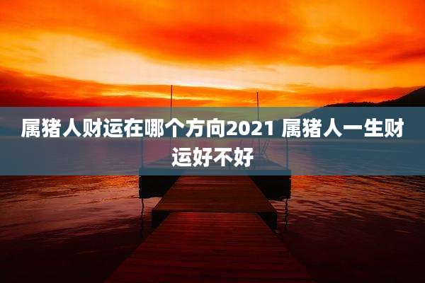 属猪人财运在哪个方向2021 属猪人一生财运好不好