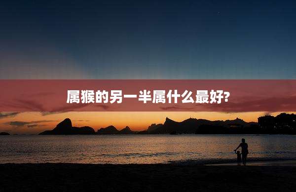 属猴的另一半属什么最好?