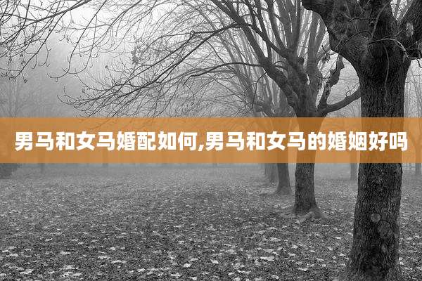 男马和女马婚配如何,男马和女马的婚姻好吗