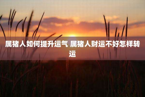 属猪人如何提升运气 属猪人财运不好怎样转运