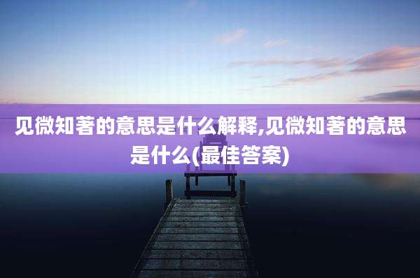 见微知著的意思是什么解释,见微知著的意思是什么(最佳答案)