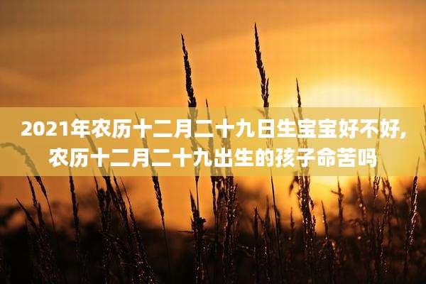 2021年农历十二月二十九日生宝宝好不好,农历十二月二十九出生的孩子命苦吗