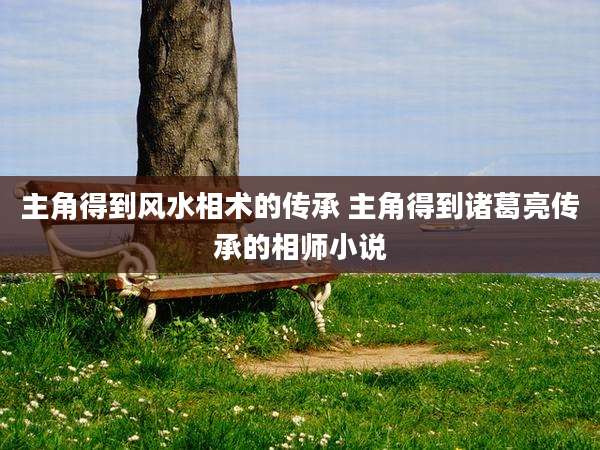 主角得到风水相术的传承 主角得到诸葛亮传承的相师小说