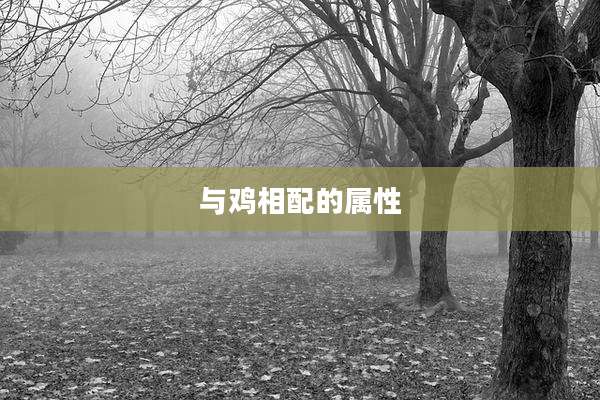 与鸡相配的属性