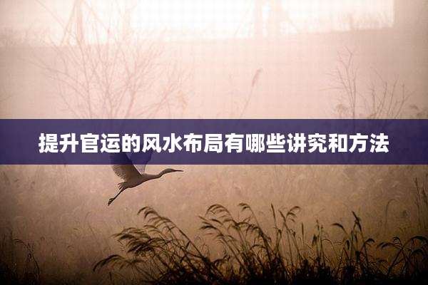 提升官运的风水布局有哪些讲究和方法