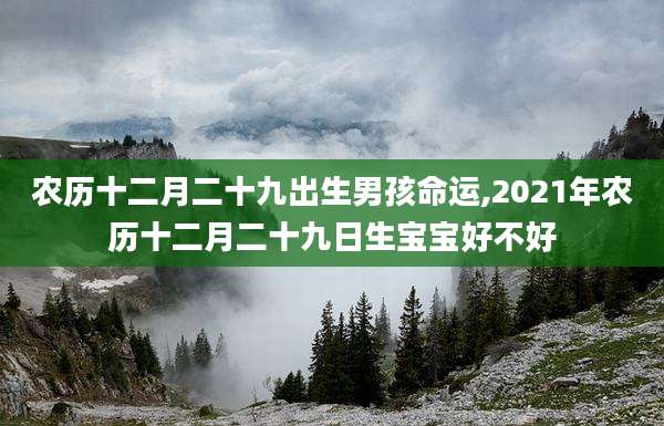 农历十二月二十九出生男孩命运,2021年农历十二月二十九日生宝宝好不好