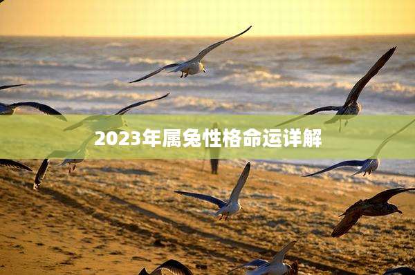 2023年属兔性格命运详解
