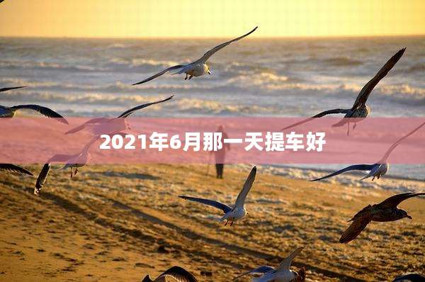 2021年6月那一天提车好