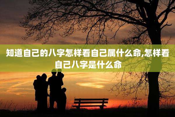 知道自己的八字怎样看自己属什么命,怎样看自己八字是什么命