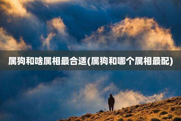属狗和啥属相最合适(属狗和哪个属相最配)