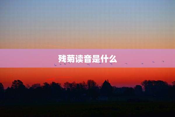 残菊读音是什么