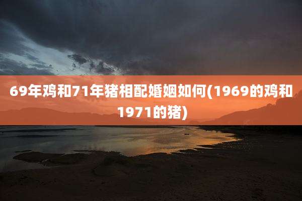 69年鸡和71年猪相配婚姻如何(1969的鸡和1971的猪)