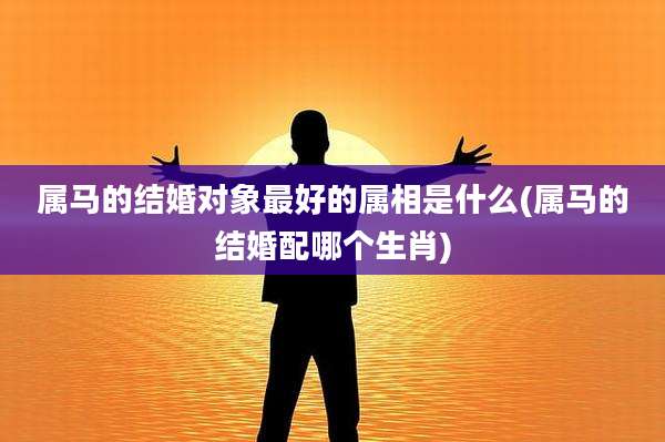 属马的结婚对象最好的属相是什么(属马的结婚配哪个生肖)