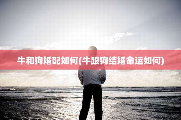 牛和狗婚配如何(牛跟狗结婚命运如何)
