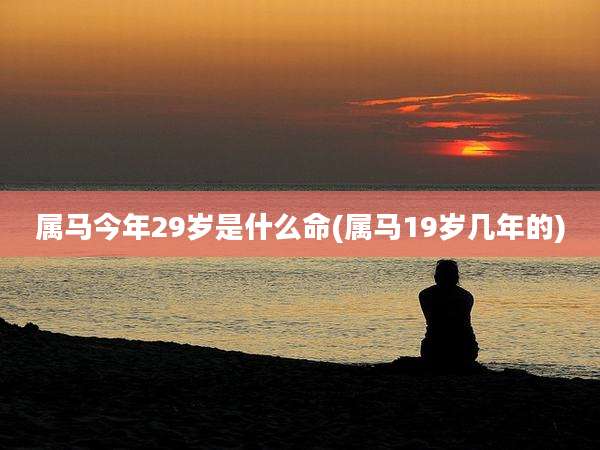 属马今年29岁是什么命(属马19岁几年的)