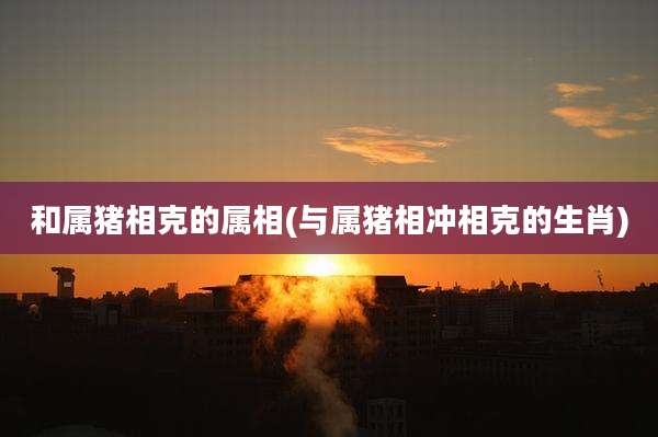 和属猪相克的属相(与属猪相冲相克的生肖)