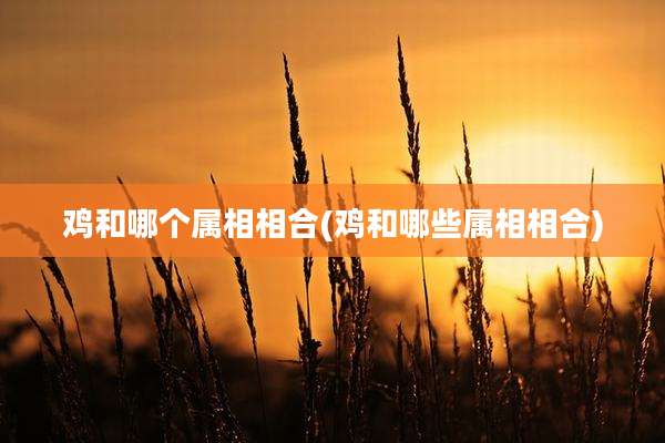 鸡和哪个属相相合(鸡和哪些属相相合)