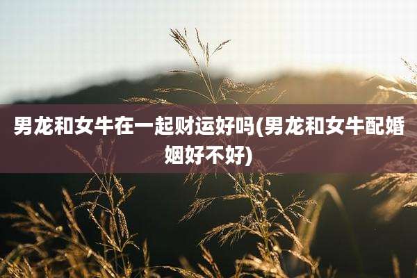 男龙和女牛在一起财运好吗(男龙和女牛配婚姻好不好)