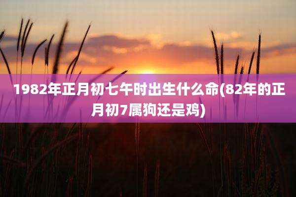 1982年正月初七午时出生什么命(82年的正月初7属狗还是鸡)
