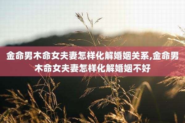 金命男木命女夫妻怎样化解婚姻关系,金命男木命女夫妻怎样化解婚姻不好