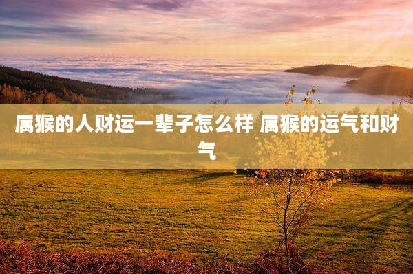 属猴的人财运一辈子怎么样 属猴的运气和财气