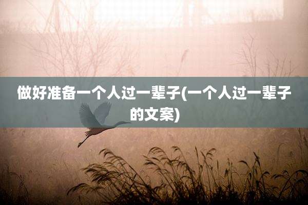 做好准备一个人过一辈子(一个人过一辈子的文案)