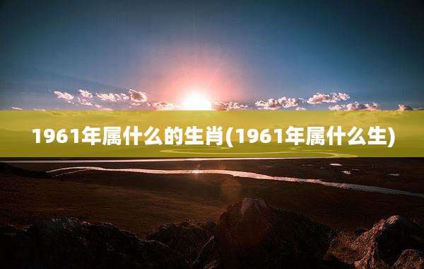 1961年属什么的生肖(1961年属什么生)